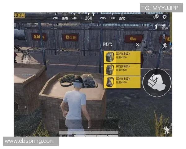 和平精英战术分析：TES中路突破策略与战斗表现全解析